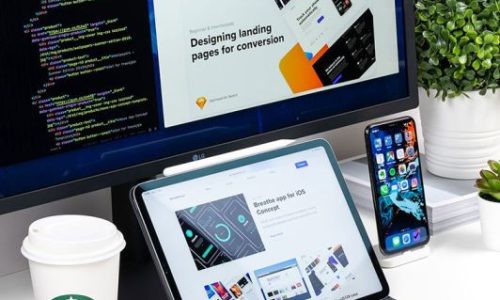 WordPress Development Services